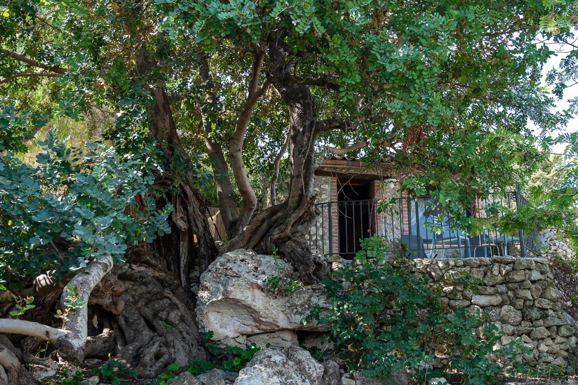 Roba Degli Ulivi Bed & Breakfast Агридженто Екстериор снимка